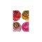 Bulbi Ranunculus Eleg Pastello Striato Mix, Piciorul cocosului pastel mix, 3/4 N