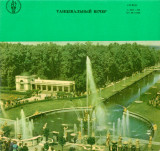 Various - Dance Night (Vinyl)