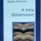 Bogdan Burileanu - A treia dimensiune