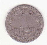 Iugoslavia 1 dinar 1965 - KM# 47, Sch&ouml;n# 38