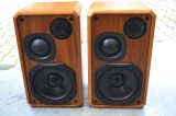 Boxe PILOT CD 300 MK III