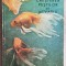Creșterea peștilor de acvariu - Marcel Stanciu