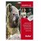 Hartie transfer termic, materiale textile albe sau culori deschise, printare inkjet - A4