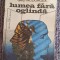 Lumea fara oglinda - Grid Modorcea, 1990, 391 pag, starea fb