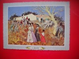 HOPCT 23091 Y BRAYER -- -ITALIA-- CP PICTURA --NECIRCULATA