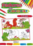 Pădurea de colorat (3-5 ani) - Paperback - *** - Erc Press