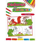 Pădurea de colorat (3-5 ani) - Paperback - *** - Erc Press