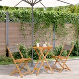 VidaXL Set mobilier bistro, 3 piese, gri, polipropilenă și lemn masiv