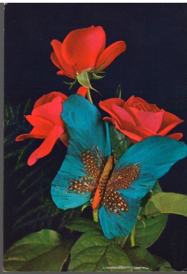 CPIB 15107 - FELICITARE. FLORI, TRANDAFIRI, FLUTURE. IMPRIMATA IN ITALIA, SAR foto