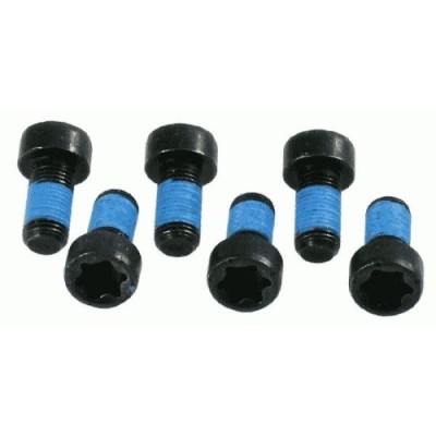 Sachs Set surub, volanta foto