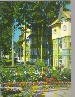 CPIB 15297- CARTE POSTALA - VILE LA SOVATA foto