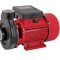 Pompa de apa RD-1.5DK20 750W, Raider 070103