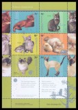 ARGENTINA 2005 FAUNA ANIMALE DOMESTICE PISICI, Nestampilat
