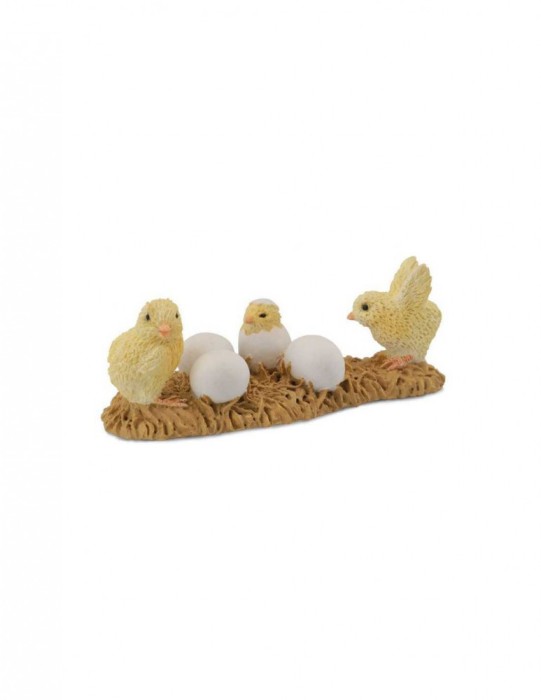 Puii din ou - Collecta