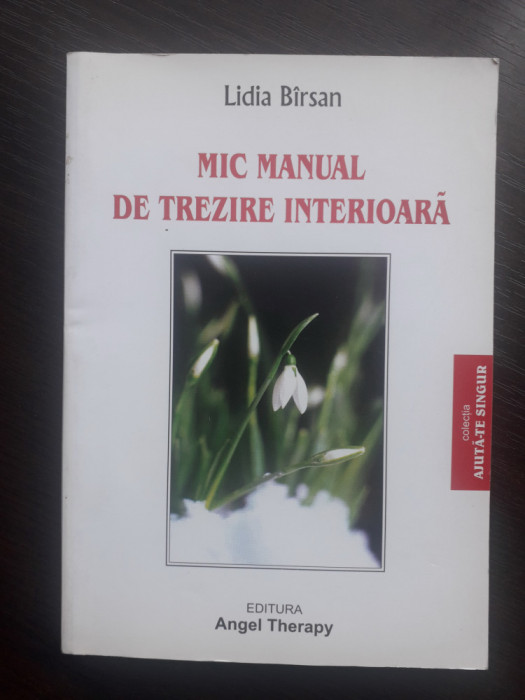 Mic manual de trezire interioara - Lidia Birsan, autograf / R3P3S