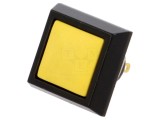Comutator anti-vandalism Poz 2 SPST-NO 2A 36VDC IP65