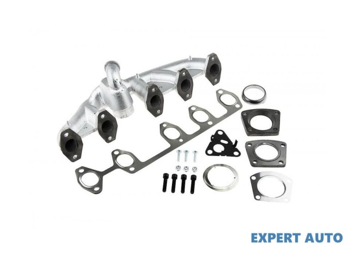 Galerie evacuare Volkswagen Transporter T5 (2003-2015) #1