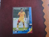 Cartonas Gabi Tamas Romania la Euro 2008 Panini