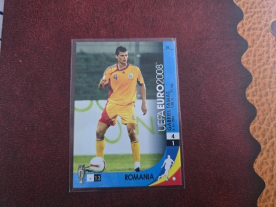 Cartonas Gabi Tamas Romania la Euro 2008 Panini foto