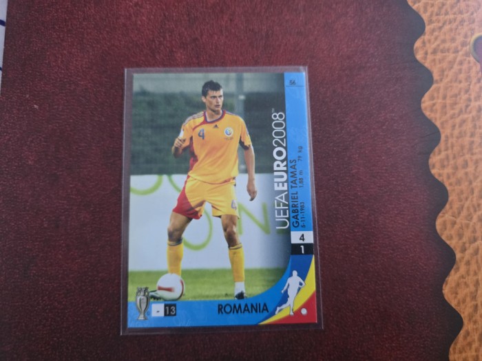 Cartonas Gabi Tamas Romania la Euro 2008 Panini
