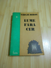 VIRGIL BIROU--LUME FARA CER foto