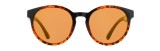 Red Bull Racing ochelari de soare EVER brown-black with brown lenses - M - 53-20-145