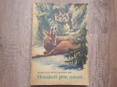 Hoinareli prin natura - Ionel Pop, 1972 foto