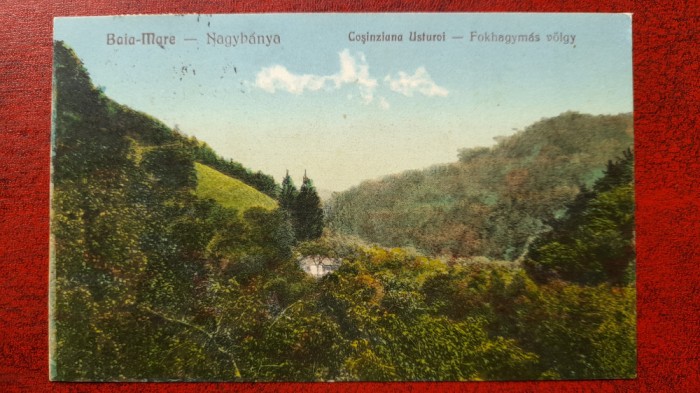 Baia Mare-1929-Cosinziana Usturoi-C.P.circ.-RARA