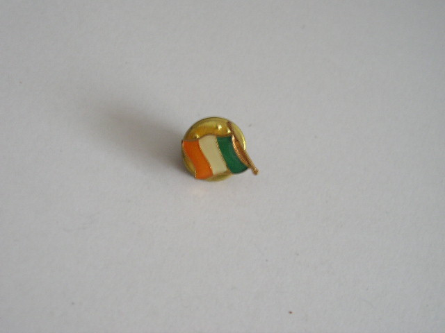 QW9 N3 1 - insigna - steag- culori si insemne nationale