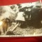 Fotografie -Film - O unda de tandrete - soldati germani cu tun de 76 mm, dim.=24