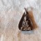 MEDALION BUDDHA unic VECH splendid EXCEPTIONAL patina MINUNATA de colectie