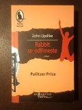 John Updike - Rabbit se odihnește