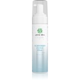 Green Idea Beauty Acnegreen spuma de curatat pentru pielea problematica 200 ml