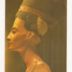 FA30-Carte Postala- EGIPT - Bust of Queen Nefertiti, necirculata