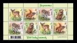 BELARUS 2021 FAUNA PUI DE ANIMALE SALBATICE CAPRIOARE VEVERITE PORCI MISTRETI