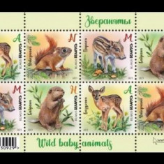 BELARUS 2021 FAUNA PUI DE ANIMALE SALBATICE CAPRIOARE VEVERITE PORCI MISTRETI