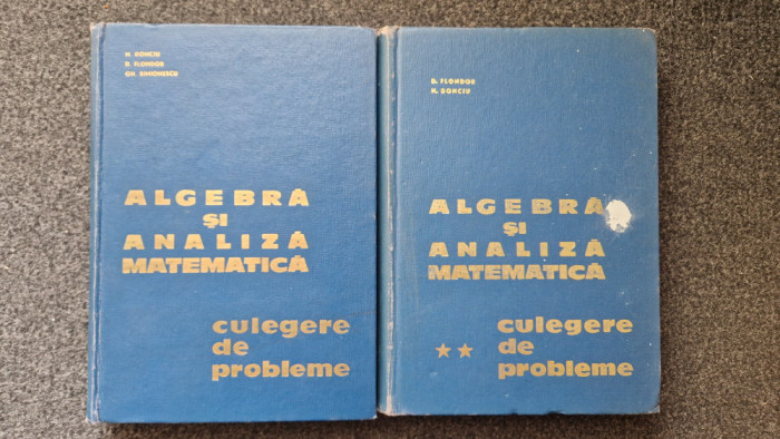 ALGEBRA SI ANALIZA MATEMATICA Culegere de probleme - Flondor, Donciu (2 vol)