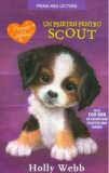 Un prieten pentru Scout - Litera