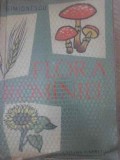 FLORA ROMANIEI-ION SIMIONESCU-348523