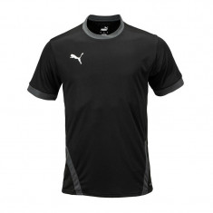 Tricou Puma TeamGoal - 704171-03 foto