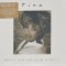Tina Turner Whats Love Got To Do With It (2cd)