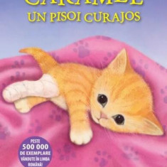 Caramel, un pisoi curajos - Hardcover - Holly Webb - Litera