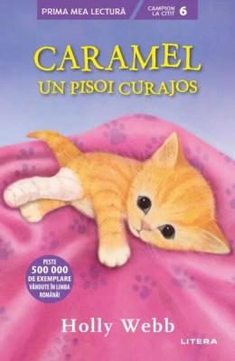 Caramel, un pisoi curajos - Hardcover - Holly Webb - Litera foto