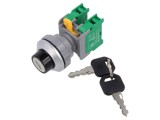 &Icirc;ntrerupător rotativ 30mm IP65 NO x2
