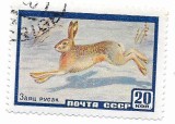 U.R.S.S. - Fauna U.R.S.S., 1960 - obliterata, Rusia, Stampilat
