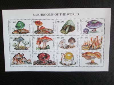 LESOTHO CIUPERCI MNH=71 foto