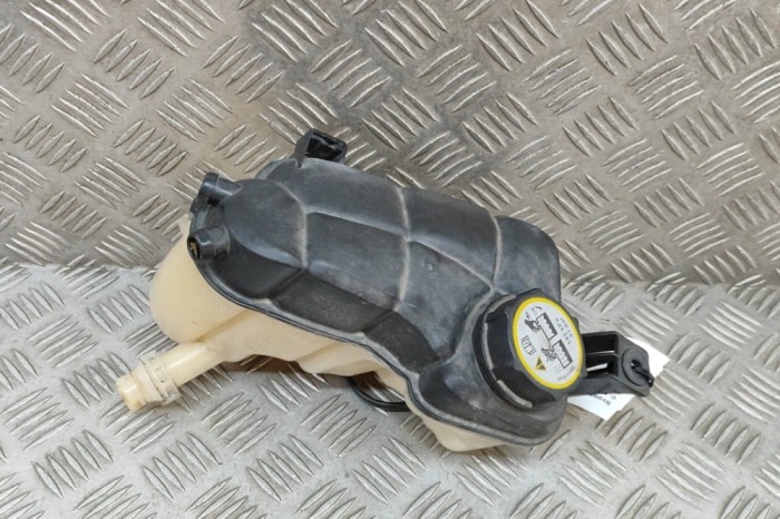 Vas de expansiune LAND ROVER RANGE ROVER EVOQUE L538 2012 OEM: BJ32-8K218-AA 24794171