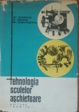 Tehnologia sculelor aschietoare - St. Enache D. Dragu M. Simionescu