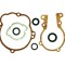 Set garnituri + semeringuri motor moped Piaggio Boxer - Bravo - Ciao - Grillo - Si - Si FL - Si Mix 2T AC 50cc (pentru modelele fara variator)