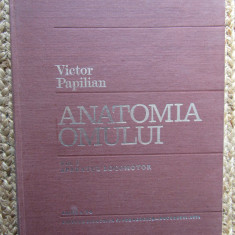 Anatomia omului vol. I – Aparatul locomotor (Victor Papilian) – Atlas